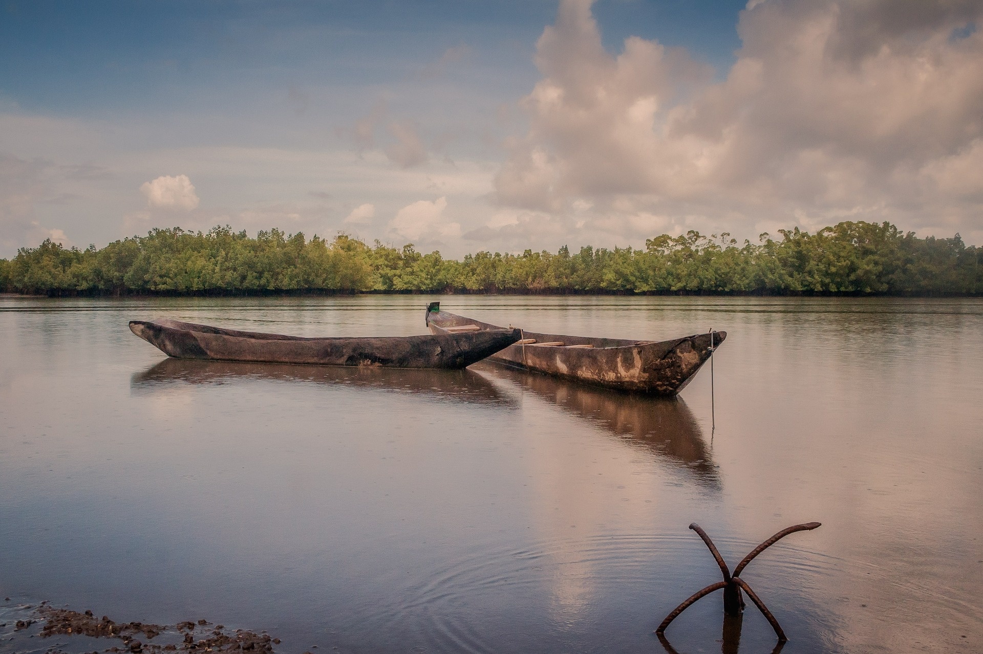 Large-scale ecosystem-based adaptation in The Gambia: developing a ...